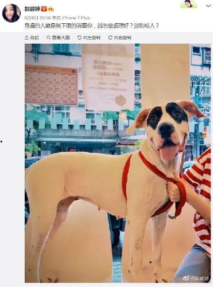 娱乐吃瓜郭碧婷微博,娱乐圈幕后故事大揭秘  第3张