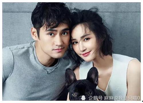 娱乐圈吃小瓜是谁啊图片,吃小瓜事件背后的神秘人物  第3张