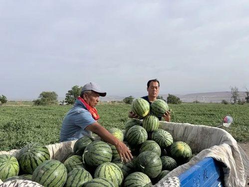 娱乐713吃瓜最新入口,最新入口带你一网打尽娱乐圈风云  第3张