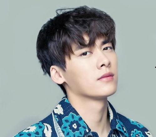 娱乐圈吃瓜文档李易峰,娱乐圈风云变幻中的璀璨明星  第2张