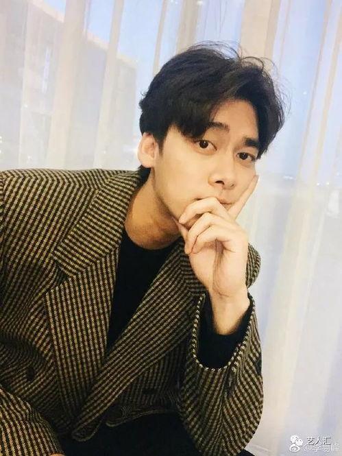 娱乐圈吃瓜文档李易峰,娱乐圈风云变幻中的璀璨明星  第3张