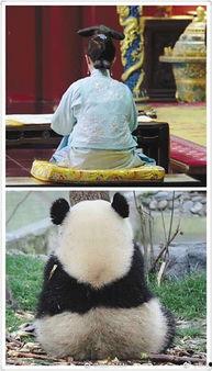 娱乐吃瓜群众2,揭秘娱乐圈背后的秘密与八卦  第3张