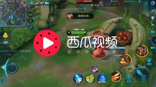 娱乐吃瓜背景音乐推荐大全,娱乐吃瓜必备！盘点热门背景音乐推荐大全  第2张