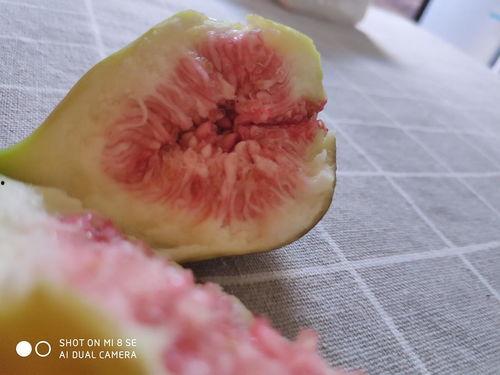 娱乐吃瓜酱密集恐惧症,娱乐吃瓜酱的惊悚之旅  第3张