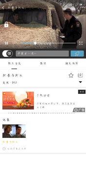 娱乐吃瓜小记百度云,带你领略娱乐圈幕后风云  第3张