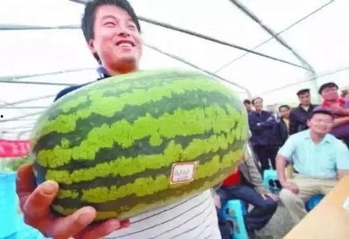 娱乐吃瓜7月,吃瓜群众狂欢季，热点事件盘点  第3张