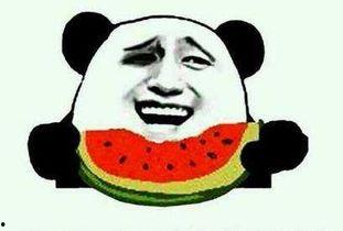 娱乐吃瓜酱伤感语录大全,娱乐吃瓜酱的内心独白  第2张