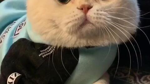 娱乐吃瓜君说刘二豆,娱乐吃瓜君揭秘娱乐圈新宠  第3张