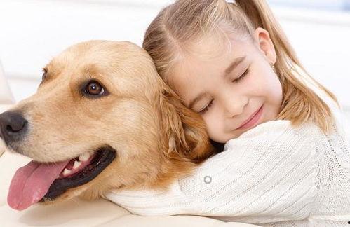 娱乐吃瓜宠物推荐,盘点那些爱看热闹的萌宠  第3张