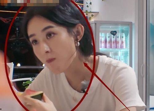 娱乐吃瓜胖姐是谁啊视频,网络红人的崛起之路  第2张