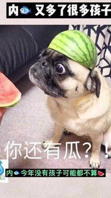 娱乐吃瓜酱宝宝是谁啊,网络红人的崛起之路  第3张