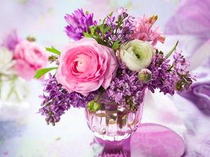 娱乐吃瓜酱一束鲜花,娱乐吃瓜酱一束鲜花背后的故事  第2张