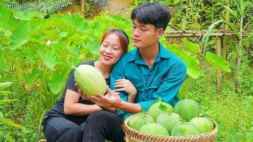 吃娱乐圈连串的瓜,揭秘明星背后的故事  第3张