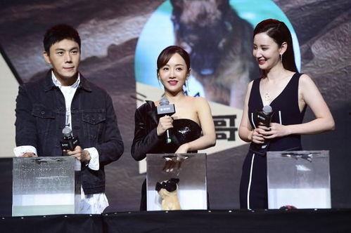 娱乐圈吃瓜爆料推文,揭秘明星背后的秘密与真相  第3张