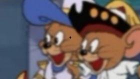 娱乐吃瓜猫咪视频,猫咪吃瓜视频大盘点  第2张