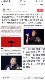 罗永浩娱乐圈吃瓜,从锤子科技到娱乐圈吃瓜达人  第2张