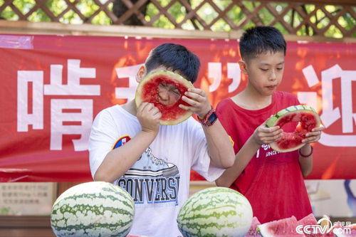 扎西枫丹娱乐吃瓜作品,揭秘娱乐圈背后的“吃瓜”故事  第2张