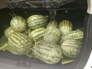 娱乐圈搬凳子吃瓜,搬凳子围观吃瓜大戏  第3张