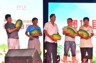 娱乐吃瓜居民  第3张