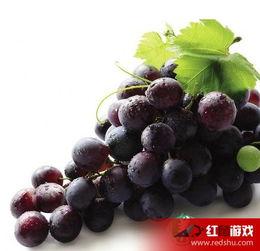 娱乐吃瓜酱葡萄娱乐,揭秘娱乐圈幕后故事与趣味瞬间  第3张