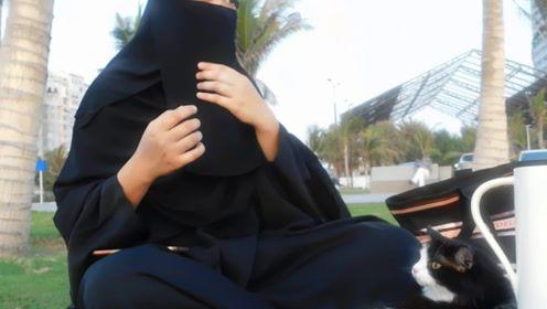 娱乐吃瓜君好好看,揭秘明星幕后故事，带你领略娱乐圈风云变幻