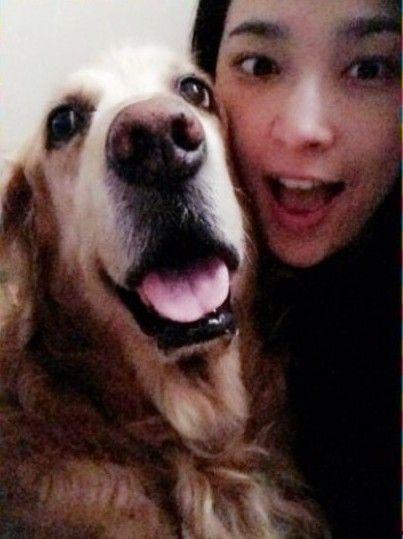 娱乐吃瓜酱人被狗撞  第3张