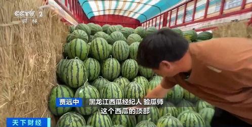 抽象带篮子娱乐吃瓜,娱乐吃瓜新风尚  第1张