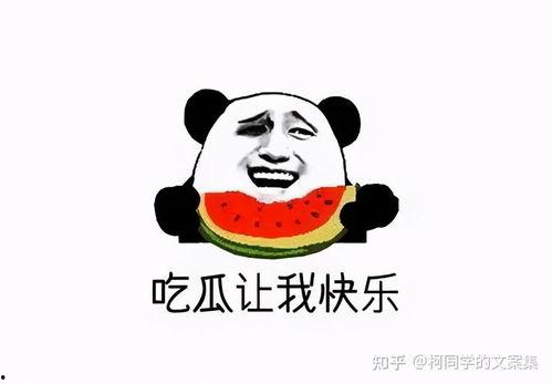 娱乐吃瓜文案图片搞笑,娱乐吃瓜界的欢乐盛宴  第1张