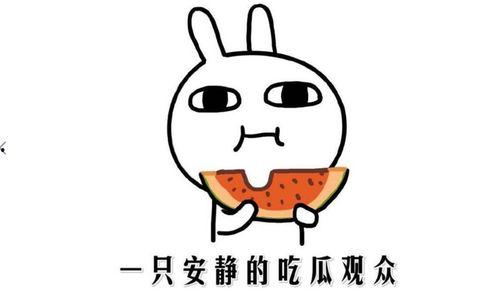 娱乐吃瓜的配音是什么意思,揭秘“娱乐吃瓜”配音背后的趣味与魅力  第3张