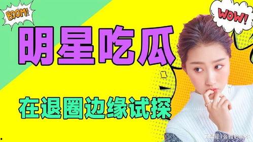 吃瓜娱乐圈类小说,瓜田里的明星秘闻  第3张