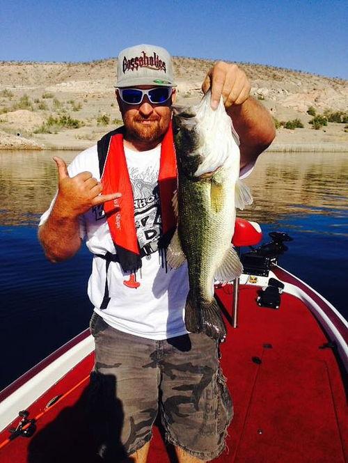 娱乐吃瓜钓鱼视频下载,一键下载收藏攻略  第2张